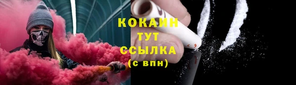 мдпв Богородицк