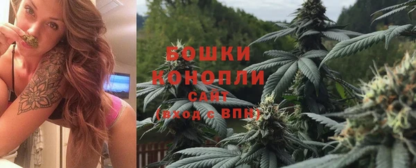 мдпв Богородицк